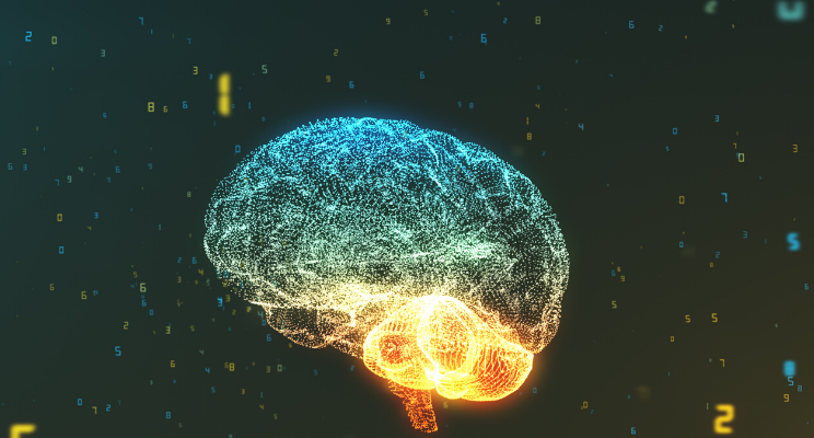 Multi-colored brain