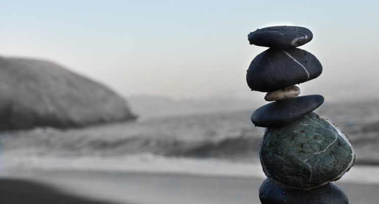 A carin on a rocky beach